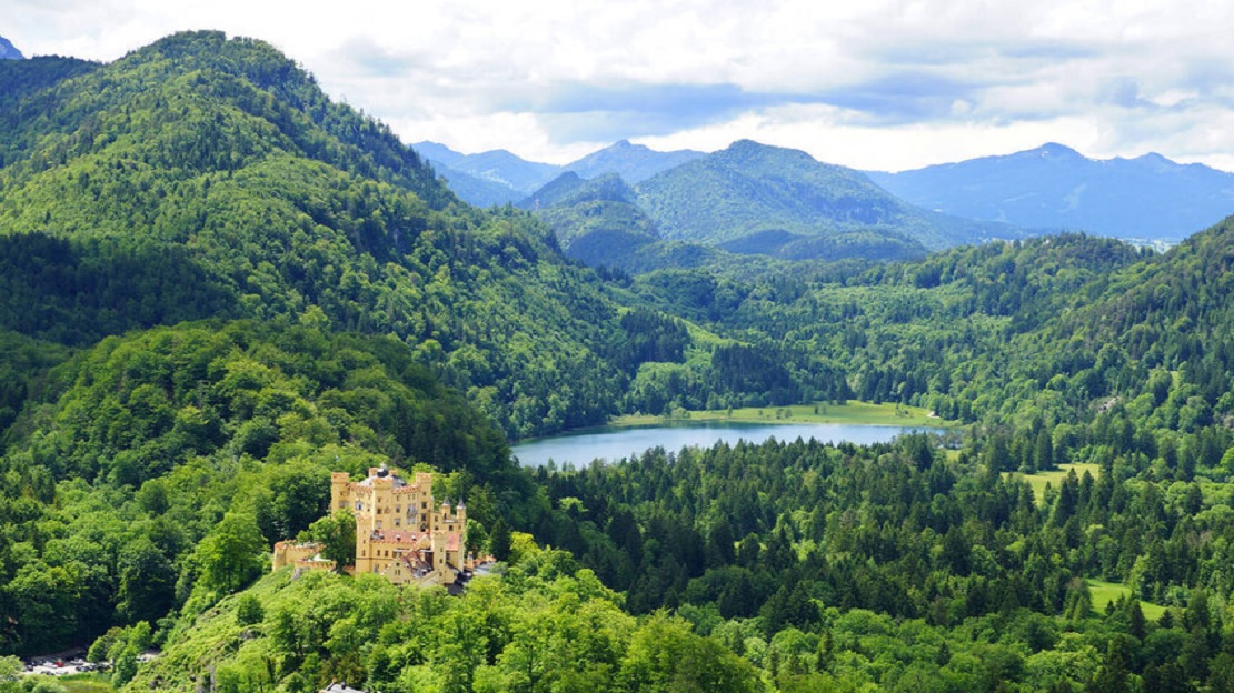 أزمة الطاقة الخضراء: من موت الأبقار في الدنمارك إلى تهديد مائدة العرب بـ"بوفر" السام  