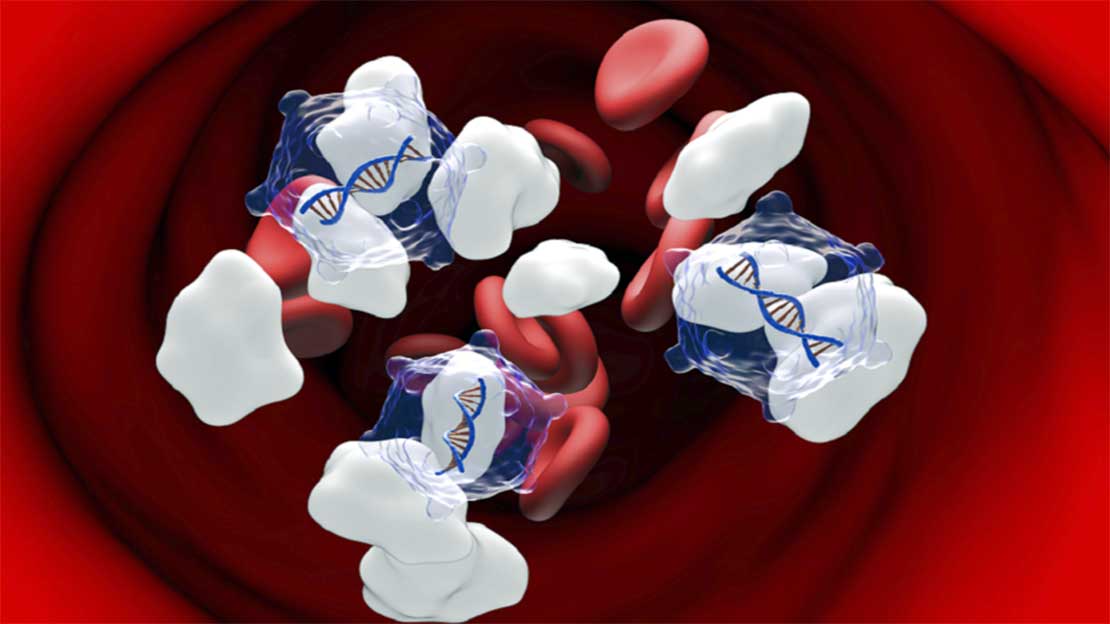 تقنية سويدية ثورية تنجح في عكس مرض السكري.. خلايا أنسولين جديدة من الخلايا الجذعية