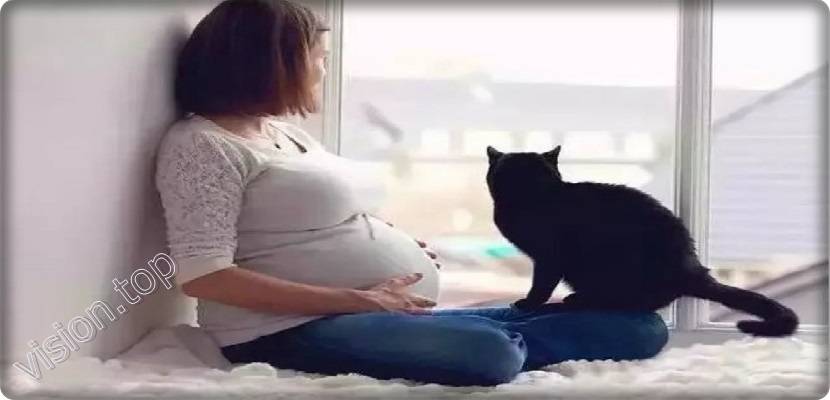 تحذير للنساء الحوامل من الحيوانات الأليفة