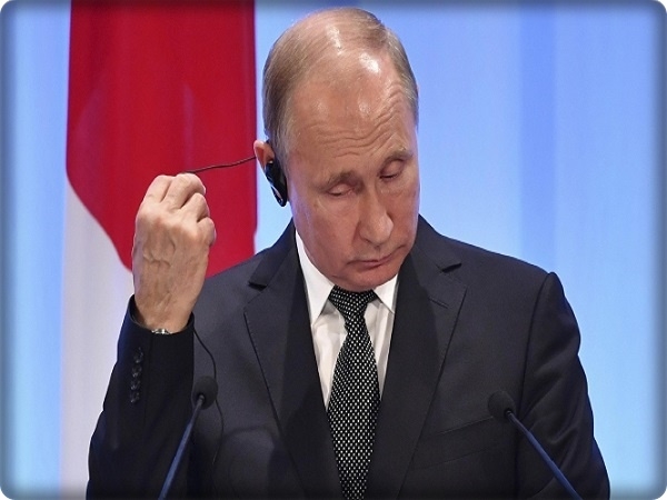 فيديو للرئيس الروسي، فلاديمير بوتين مع الدلافين