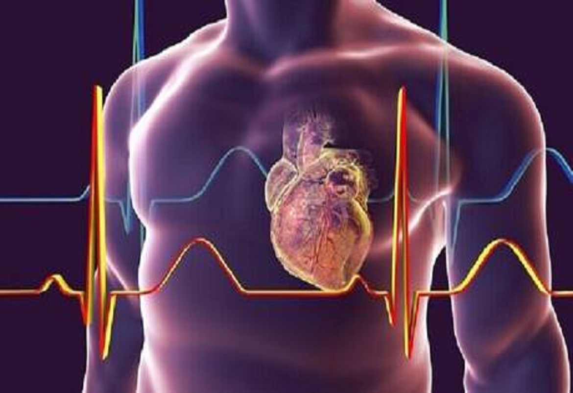  ما هي مؤشرات القلب السليم؟ 