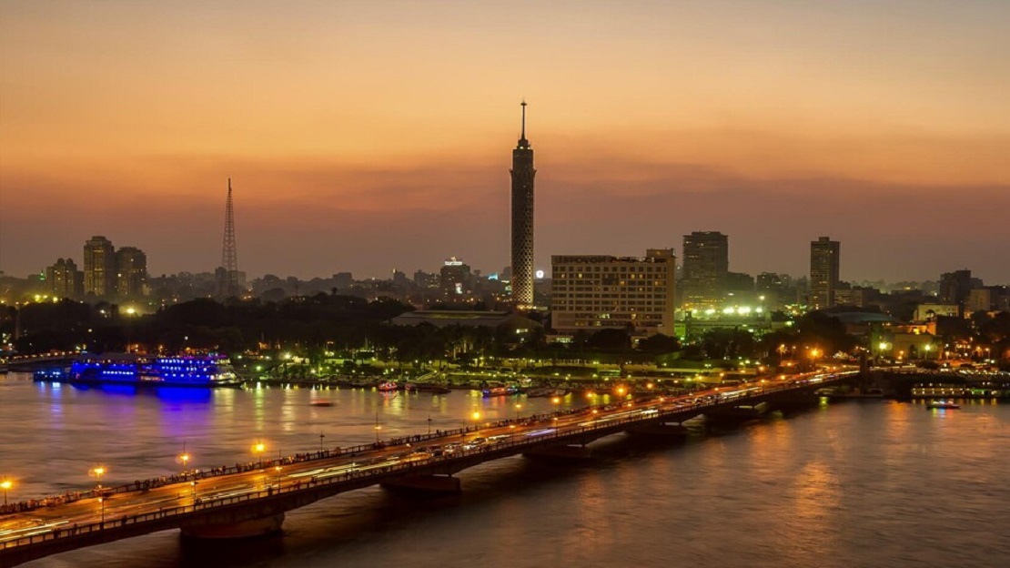 إحباط تهريب 300 كائن حي نادر في مطار القاهرة: انتصار للأمن البيولوجي المصري